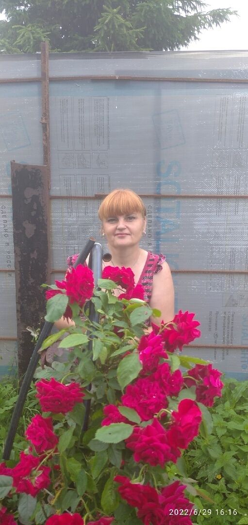  ,   , 48 ,   