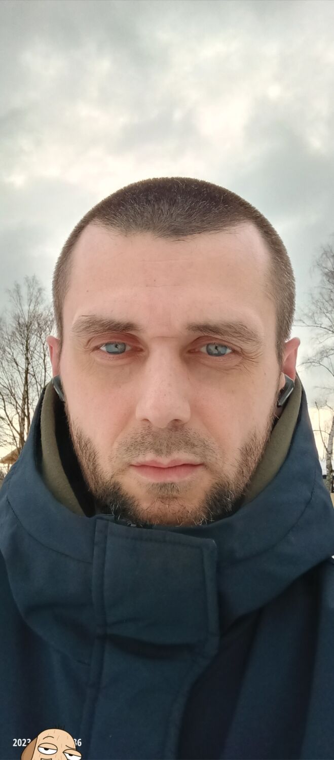  40645350  , 43 ,    