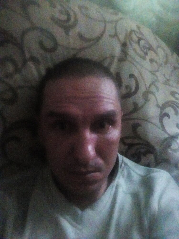  15759100  , 44 ,    