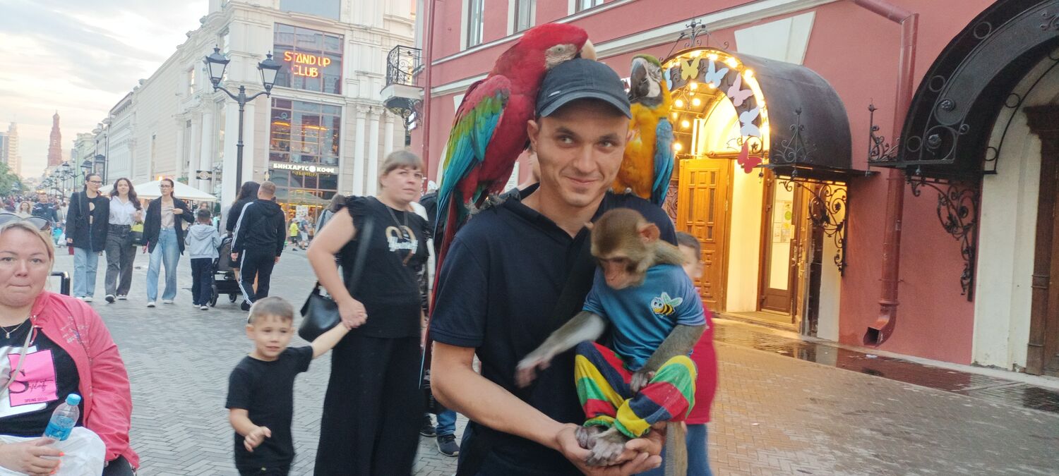  45192530  Sergey, 31 ,    