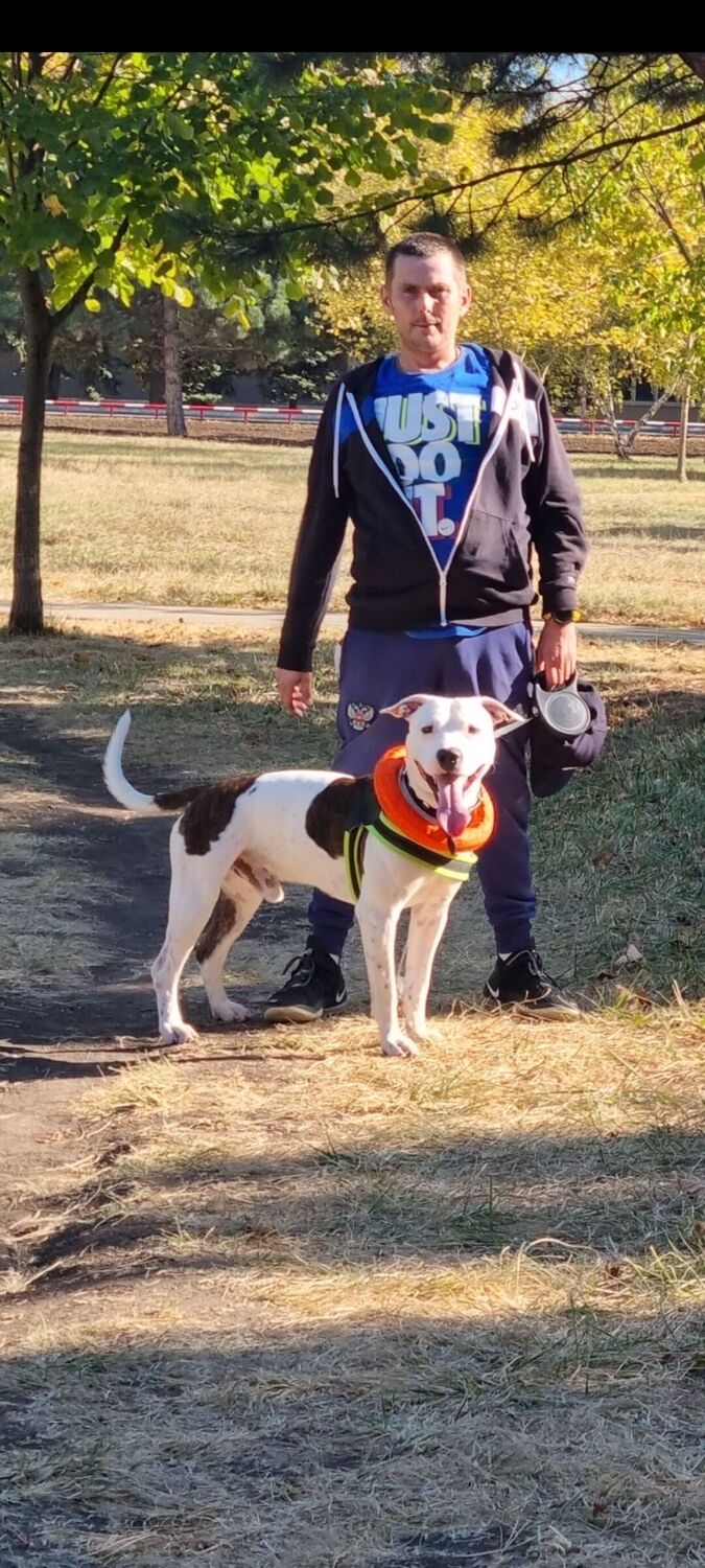 ���������� ���������, ���� ������� �����, 39 ���, ������������ ��� ������, ����� � ���������, c�������� ���������