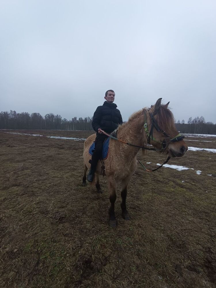 ���������� �����, ���� ������� �������, 26 ���, ������������ ��� ������, ����� � ���������, c�������� ���������, ���������