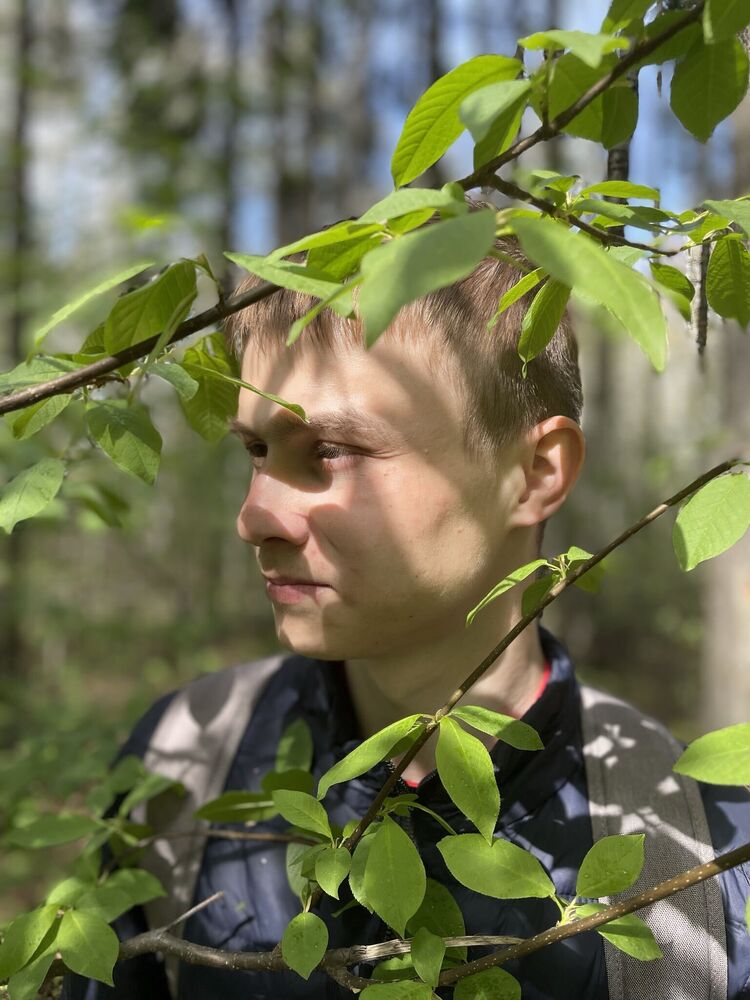 ���������� �����, ���� ����� �������, 25 ���, ������������ ��� ����� � ���������, ���������