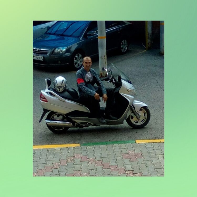  36884520  , 56 ,    