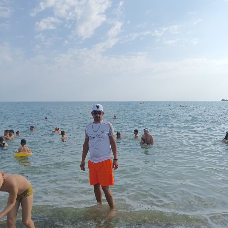  44662470  , 31 ,    --