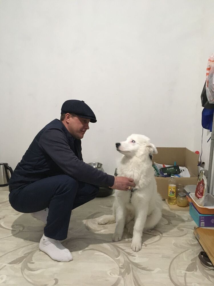  ,   , 41 ,   ,   
