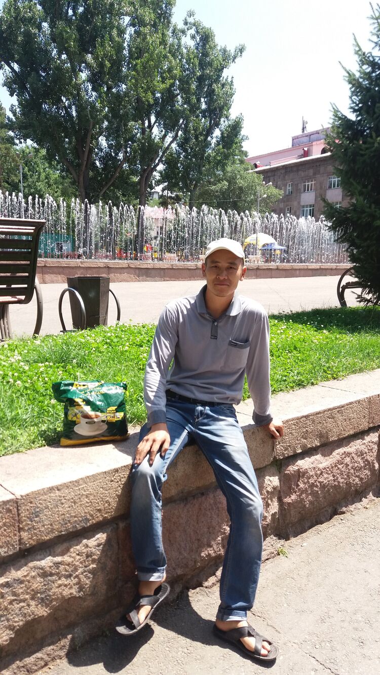 ���� 50885850 ������� �����, 42 ����, ���� ���������� � �������