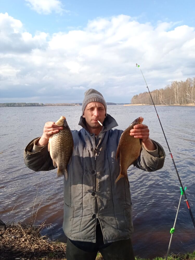 ���������� ������, ���� ������� ������, 38 ���, ������������ ��� ������, ����� � ���������