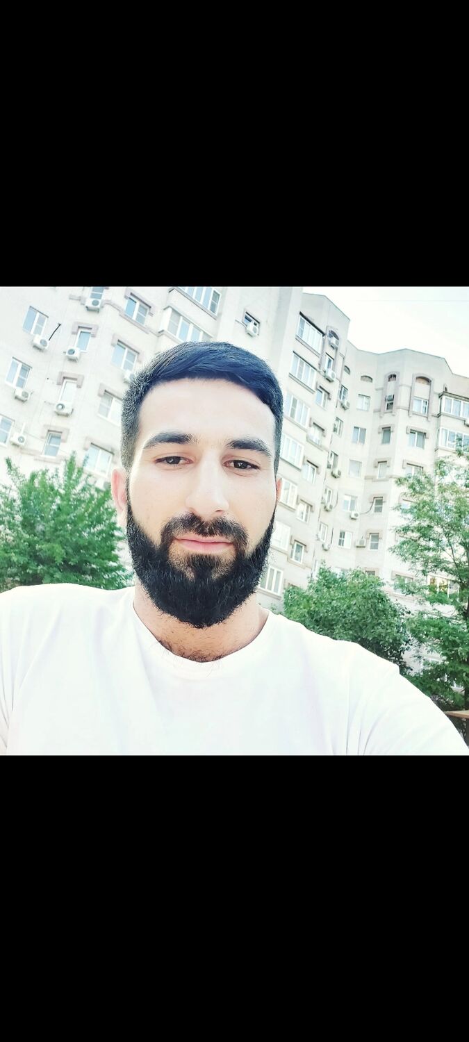  33033510  , 31 ,    