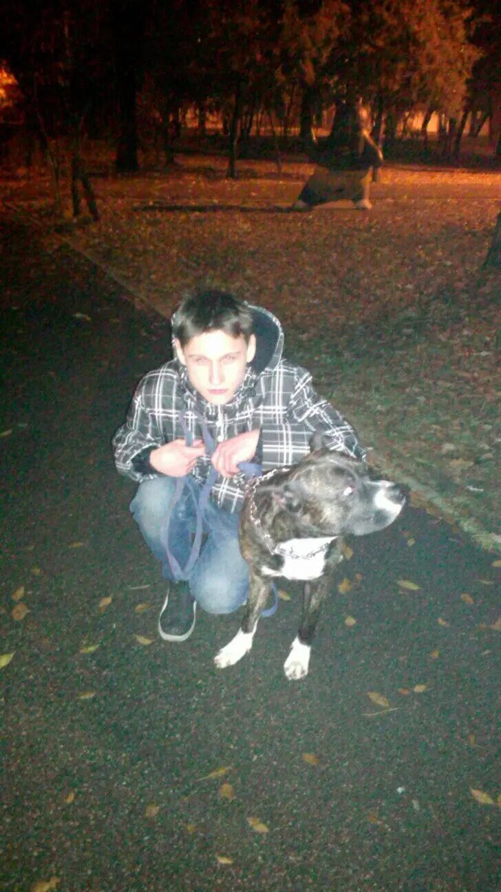 ���� 40546090 ������� �����, 28 ���, ���� ���������� � ������