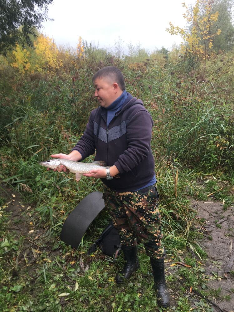 ���������� ������, ���� ������� �������, 38 ���, ������������ ��� ������, ����� � ���������, ���������