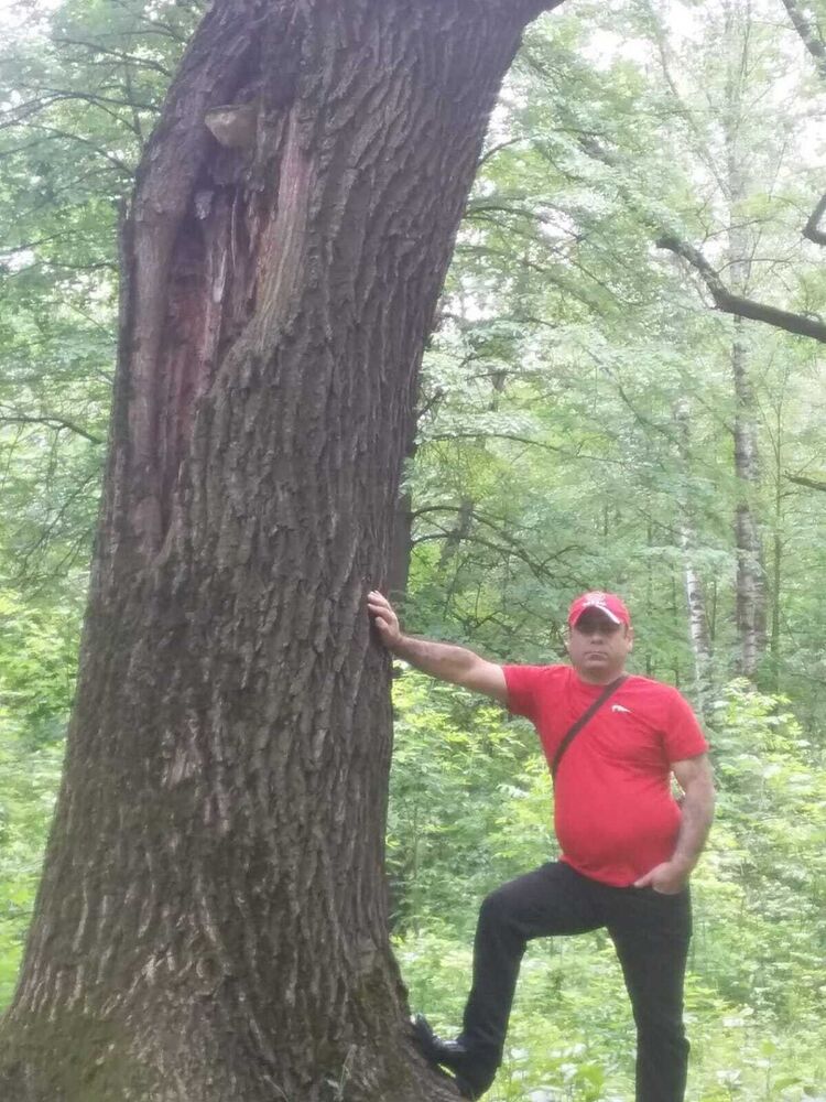  ,   Salamon, 47 ,   ,   