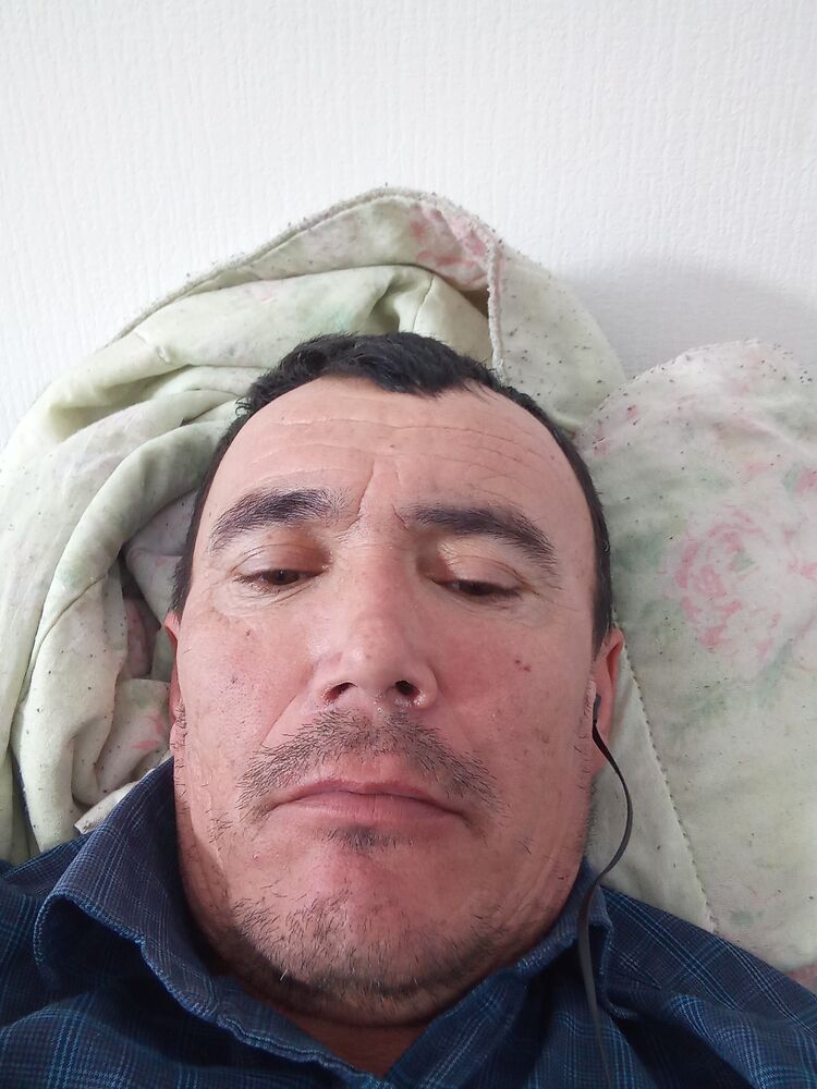  33098090  , 51 ,    -