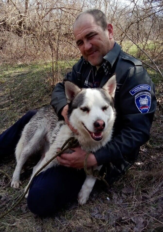 ���������� ����� �������, ���� ������� ������, 50 ���, ������������ ��� c�������� ���������, ���������