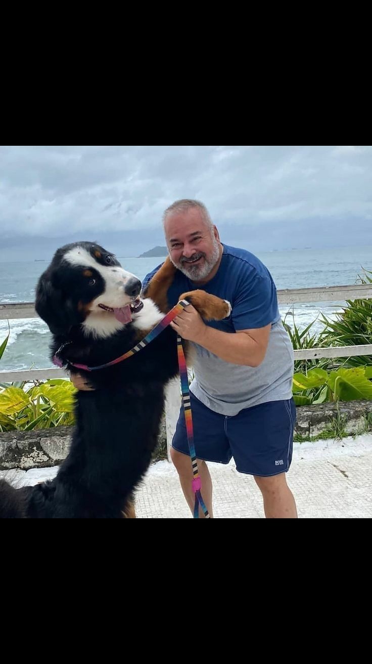 ���� 45296850 ������� ���� ����, 62 ����, ���� ���������� � ������