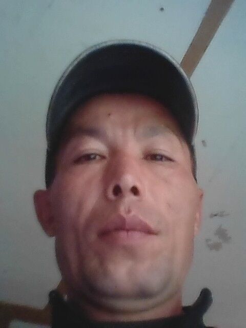 10495980  , 50 ,    -