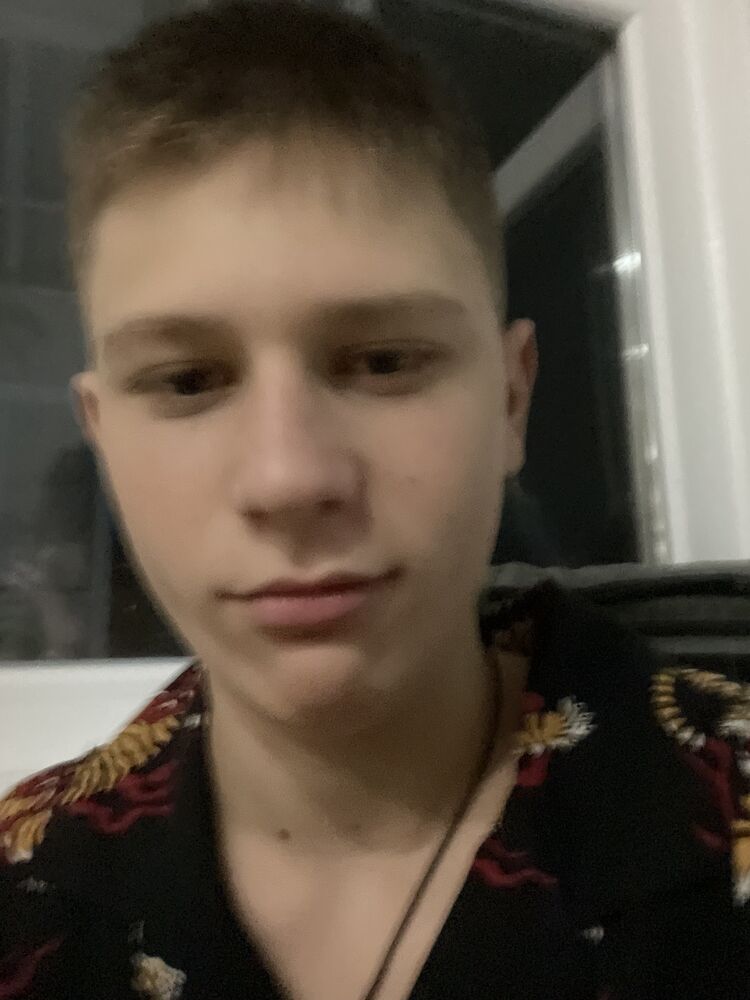  45311710  , 29 ,    