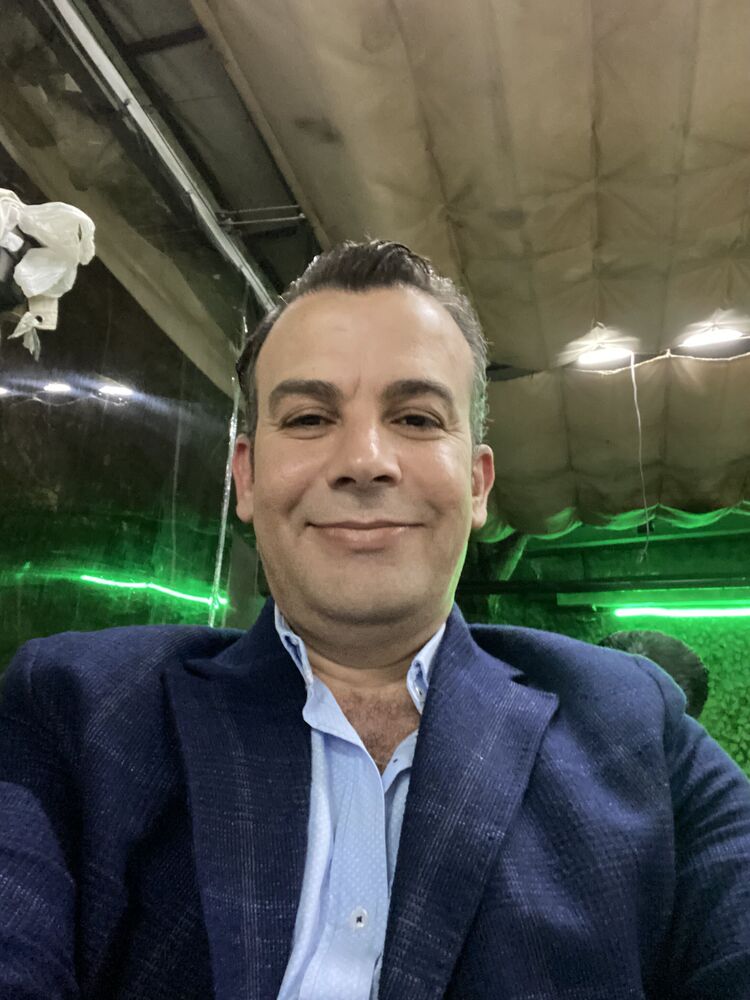 ���� 26936580 ������� Wael, 46 ���, ���� ���������� � �����-����������