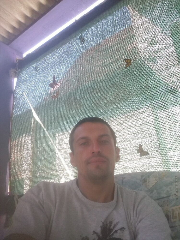  13959460  , 41 ,    