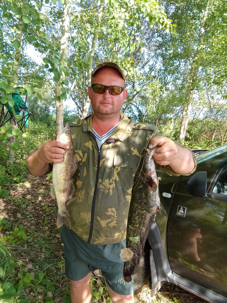 ���� 55451910 ������� ������, 38 ���, ���� ���������� � ���