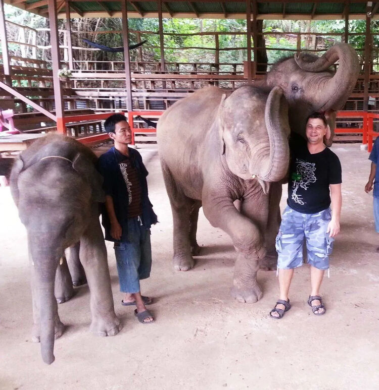 ���������� �����������, ���� ������� �������, 48 ���, ������������ ��� ������, ����� � ���������, ���������