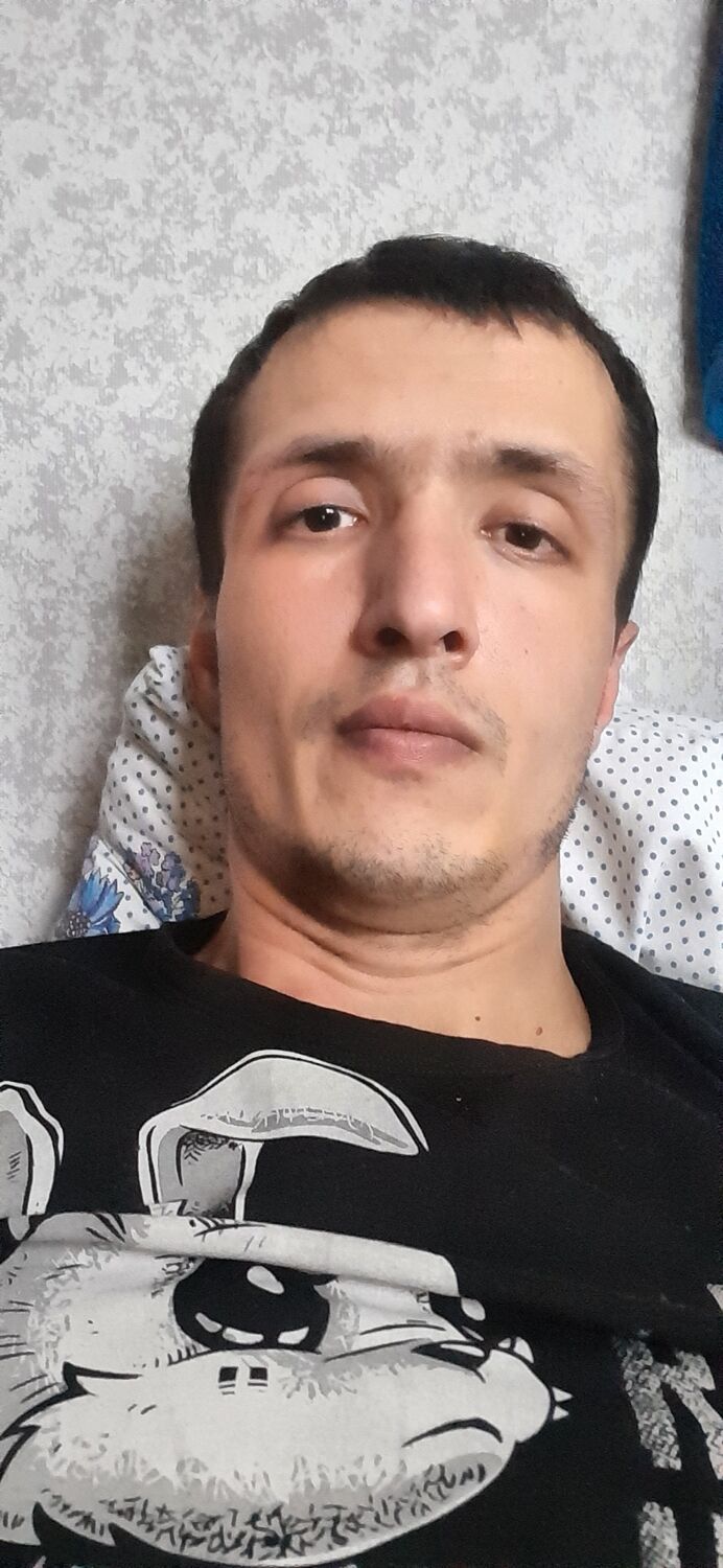  33003760  , 31 ,    