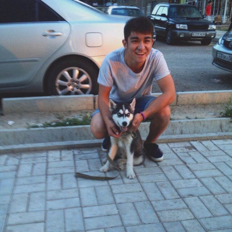 ���� 6623010 ������� Arsen, 29 ���, ���� ���������� � ������