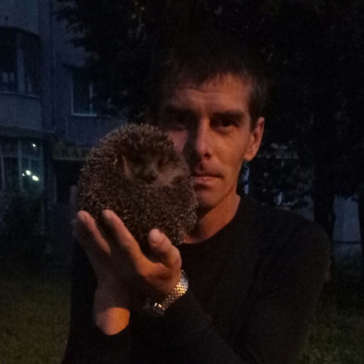 ���� 21229850 ������� �������, 40 ���, ���� ���������� � ����������