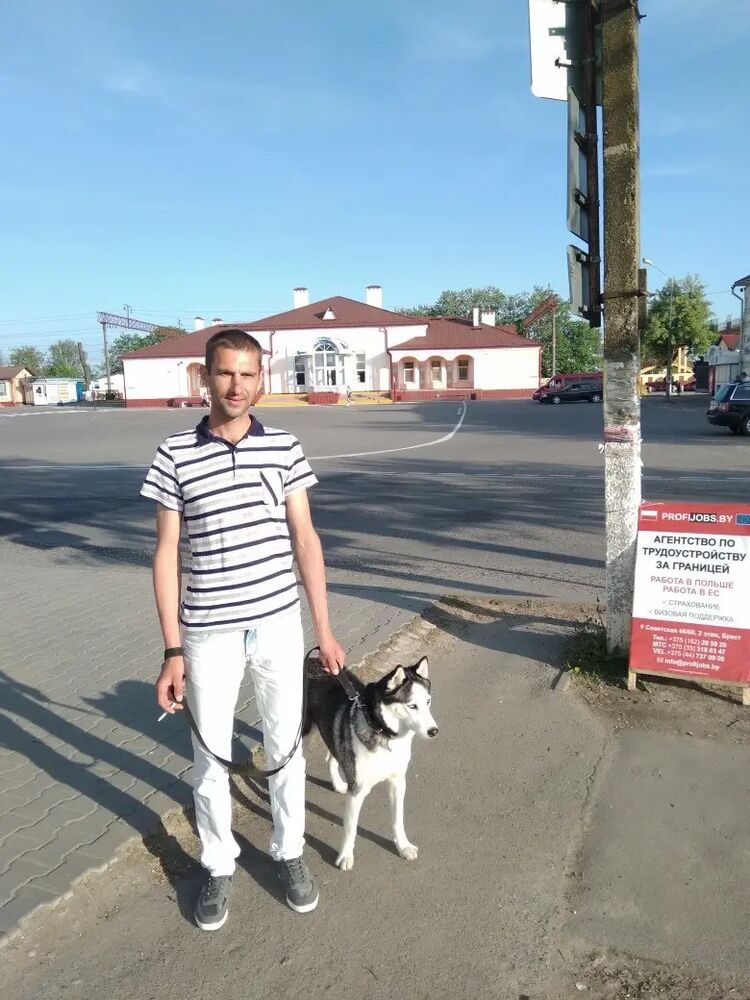  34202330  Roman, 34 ,    