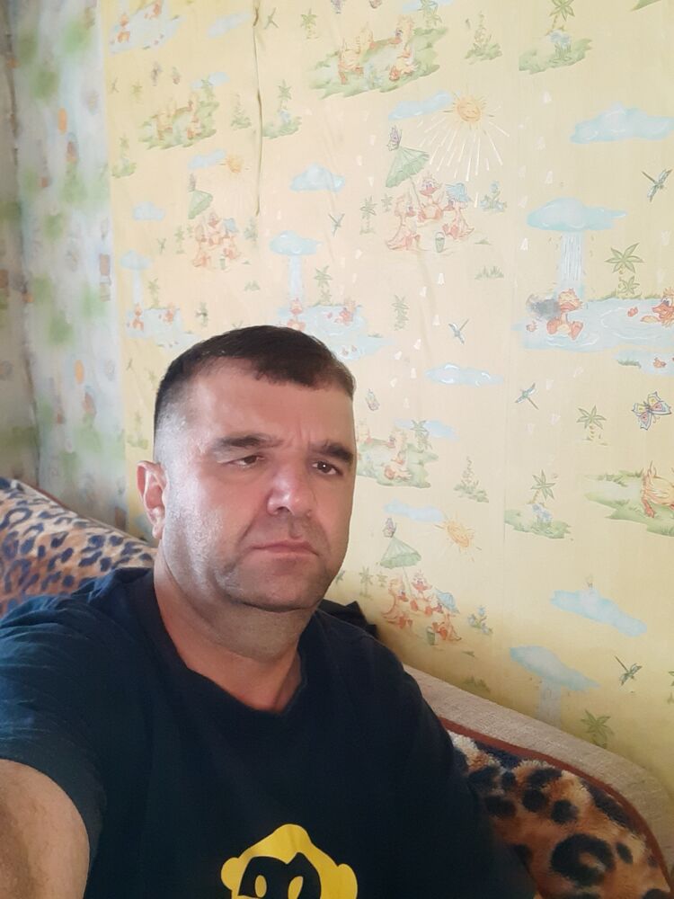 49059290  , 39 ,    -