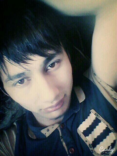  50964700  , 29 ,    