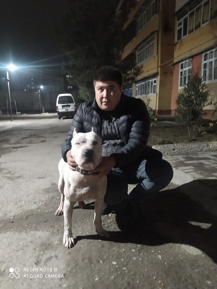  22093650  , 41 ,    
