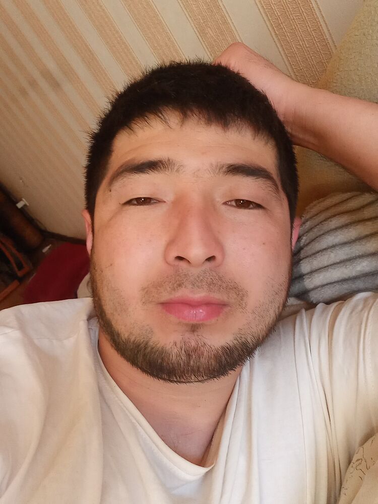  34332340  , 29 ,    