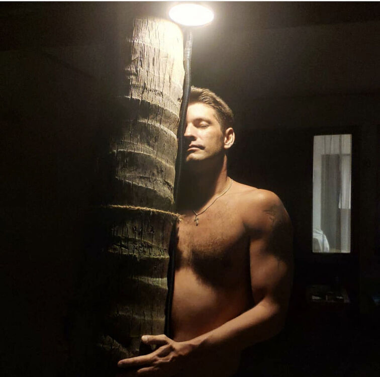 ���������� ������, ���� ������� ������, 38 ���, ������������ ��� ������, ����� � ���������, c�������� ���������, ���������