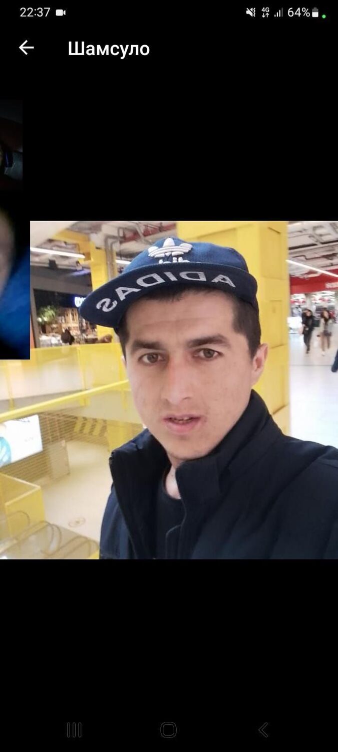 ���������� ���������, ���� ������� ��������, 29 ���, ������������ ��� ������, ����� � ���������, c�������� ���������, ���������