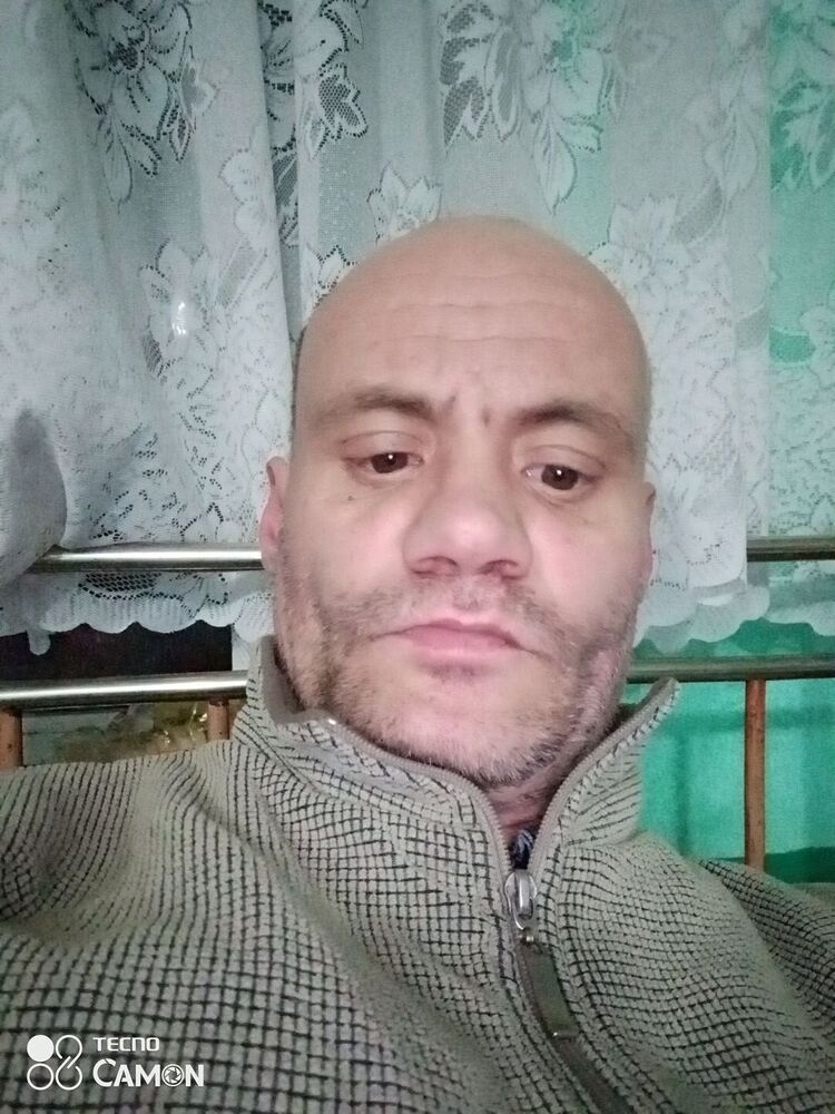  31589140  , 51 ,    