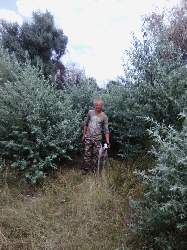 ���� 37174800 ������� ����, 35 ���, ���� ���������� � �����-����������