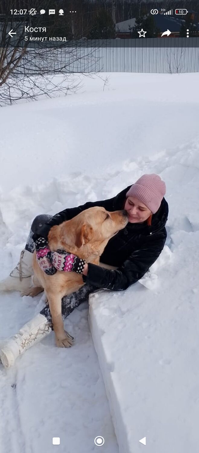 ���� 41827210 ������� ���, 43 ����, ���� ���������� � ������