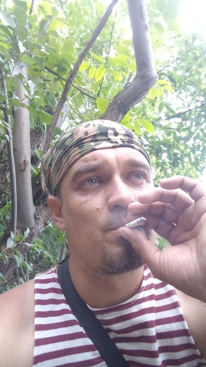 ���� 43858660 ������� ���������, 38 ���, ���� ���������� � ������