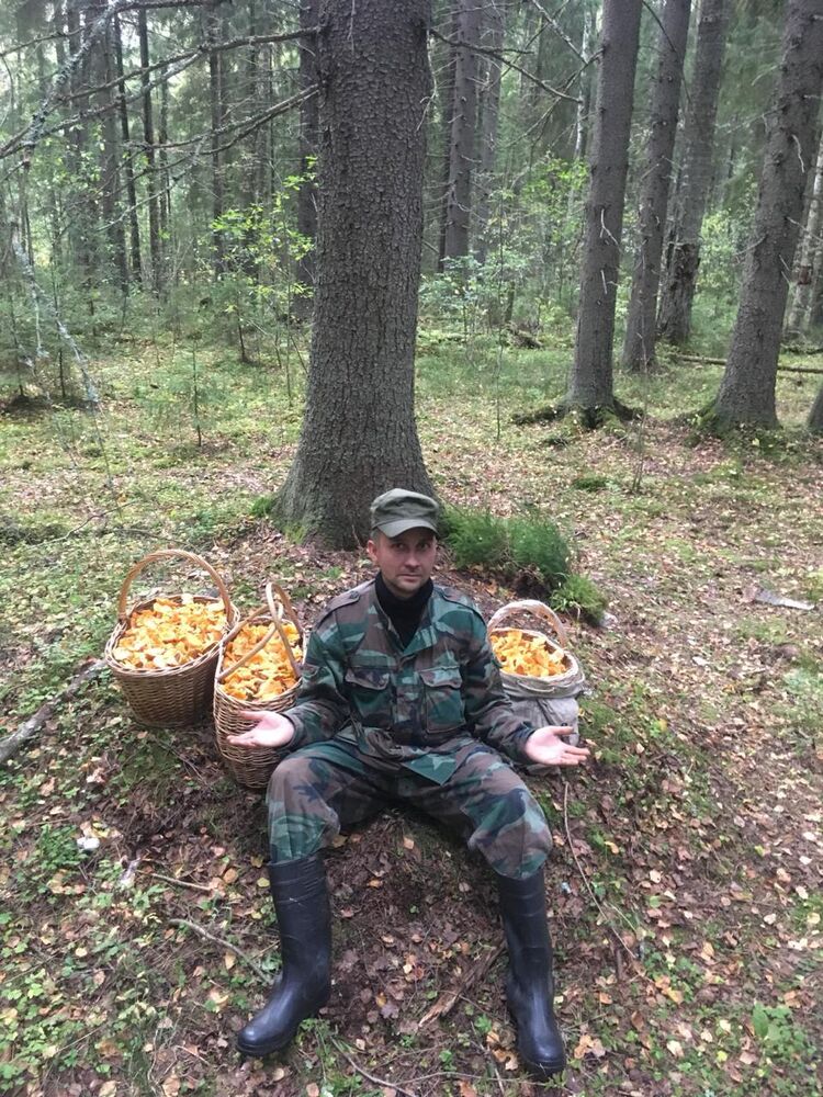  -,   , 43 ,   ,   