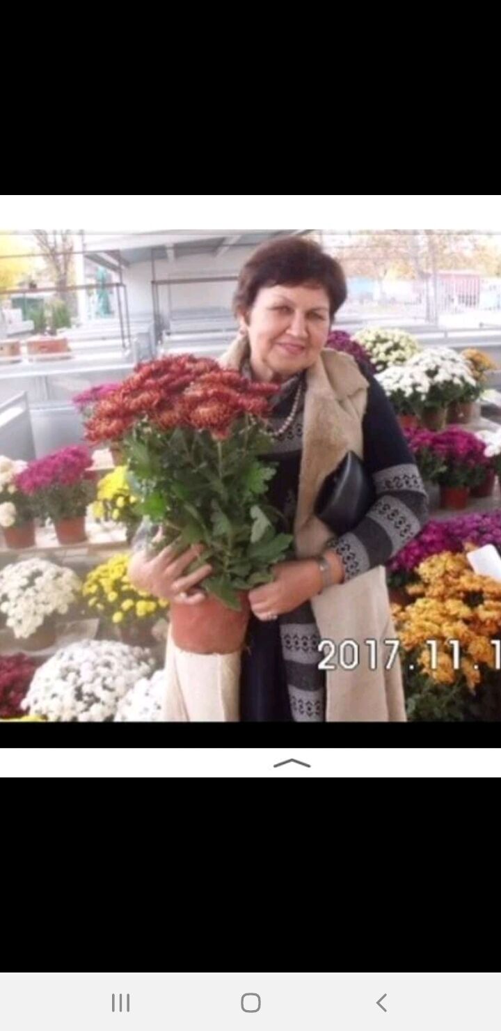  -,   , 71 ,   ,   , c 