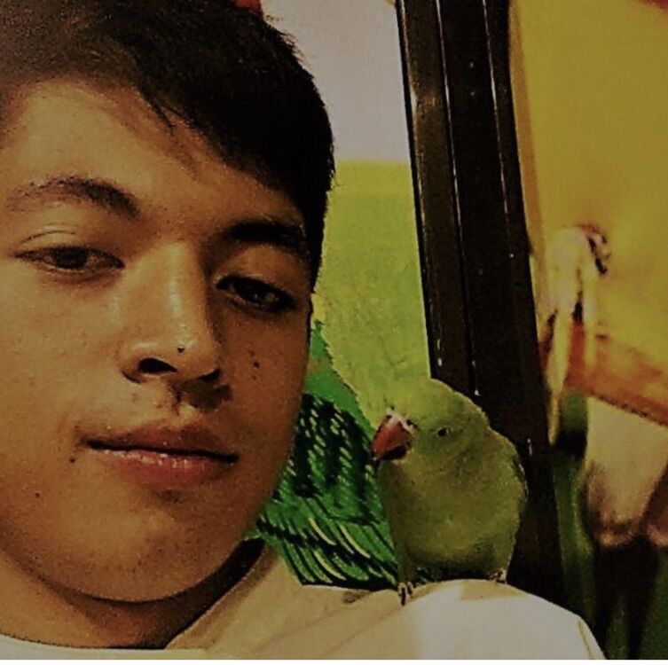  ,   Karimjonoff, 29 ,   ,   
