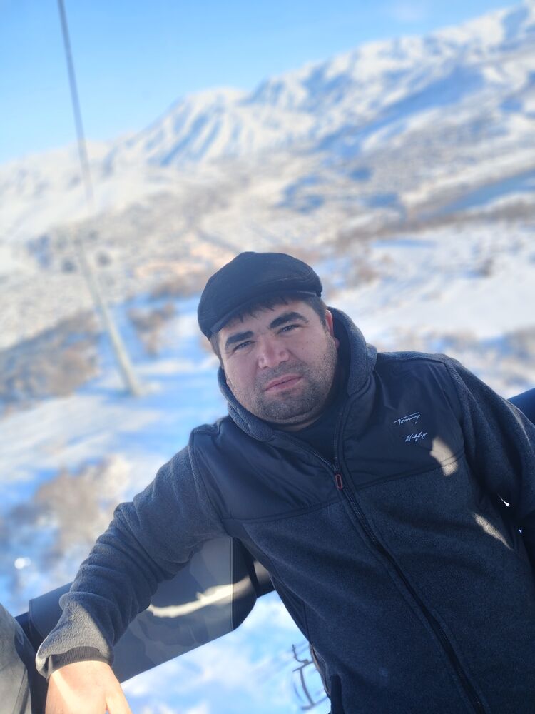 49858680  , 33 ,    