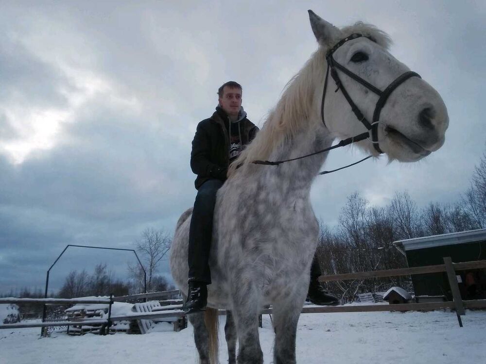 ���������� �����-���������, ���� ������� �������, 34 ����, ������������ ��� ����� � ���������, c�������� ���������