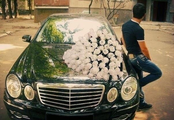 ���� 5297840 ������� Dachi, 34 ����, ���� ���������� � �������