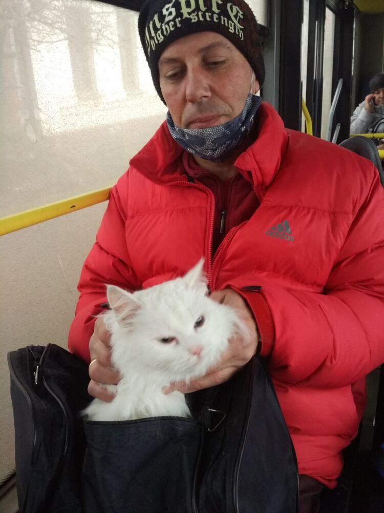 ,   , 60 ,   ,   