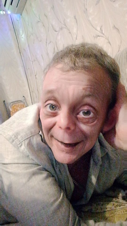  50678720  , 44 ,    