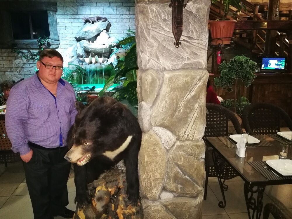 ���� 19496690 ������� ������, 36 ���, ���� ���������� � ��������