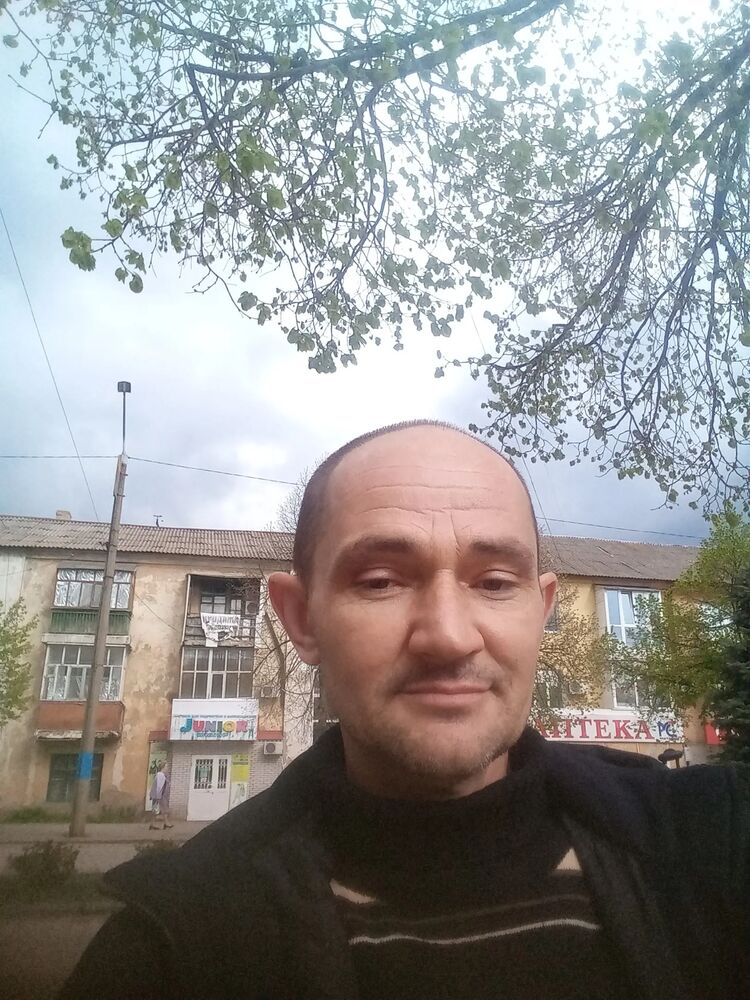  38438610  , 49 ,    