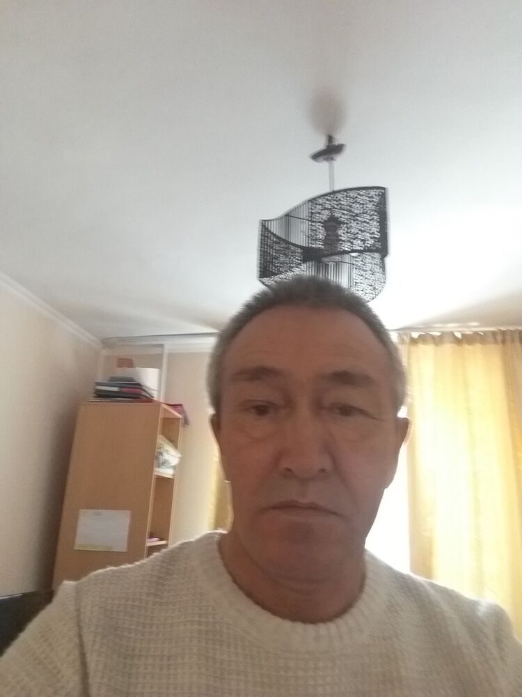  17954970  Saur, 63 ,    